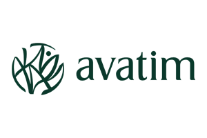 Avatim